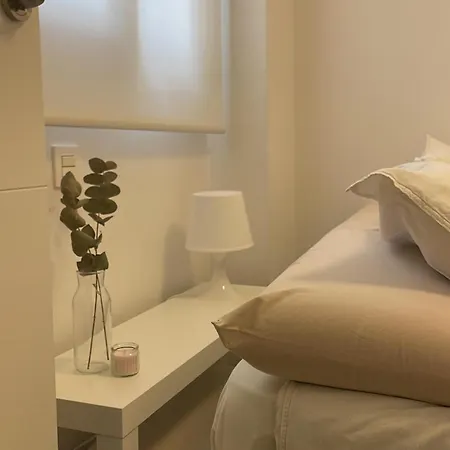 Centro Con Parking Privado Daire